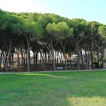 Hotel Csa & Park 3*