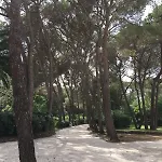 Hotel Csa & Park 3*