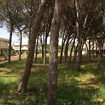 Csa & Park Hotel Marina Di Bibbona