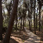 Csa & Park Marina Di Bibbona