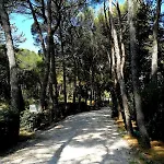 Csa & Park Marina Di Bibbona