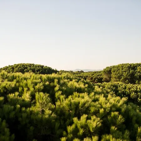 Csa & Park Ξενοδοχείο
