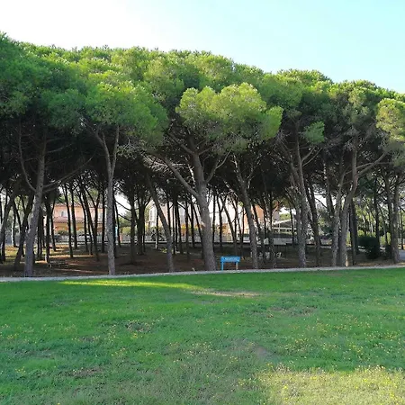 Ξενοδοχείο Csa & Park 3*