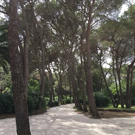 Ξενοδοχείο Csa & Park 3*