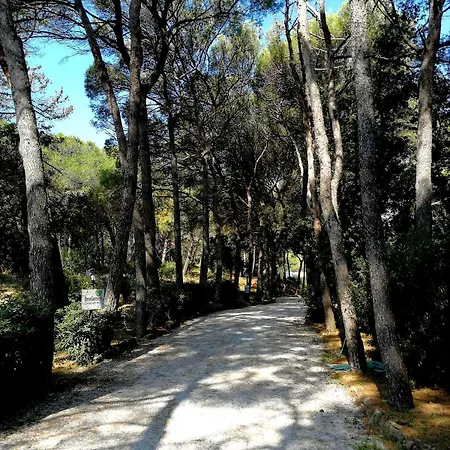Csa & Park Marina Di Bibbona
