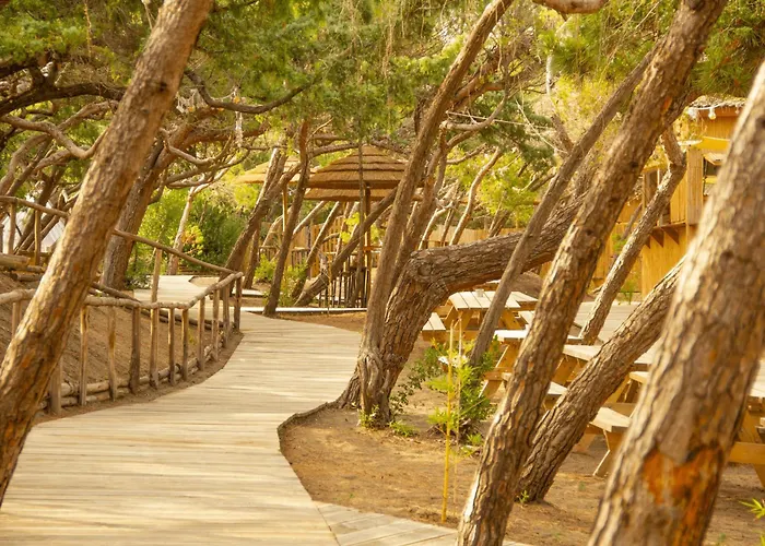 Hotel Csa & Park