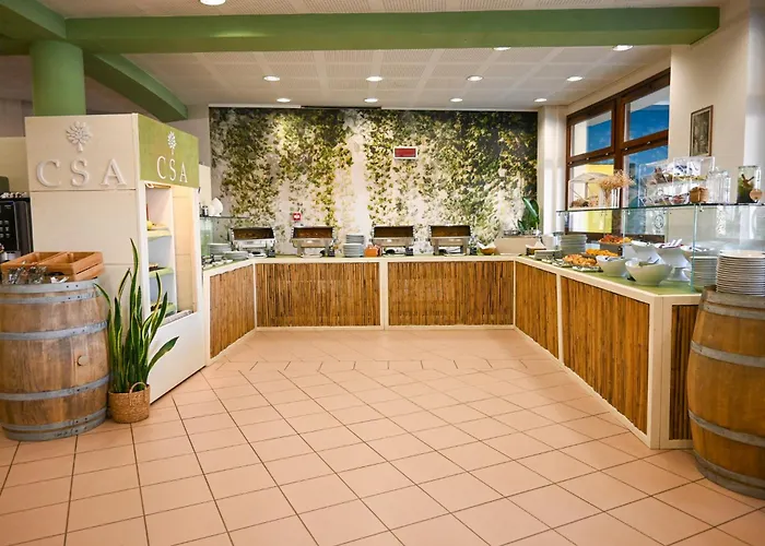 Hotel Csa & Park 3*