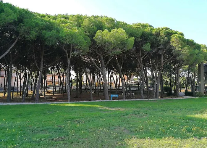 Hotel Csa & Park 3*